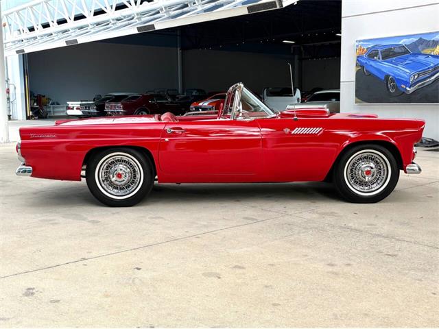 1955 Ford Thunderbird (CC-2080326) for sale in Bradenton, Florida