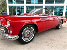 1955 Ford Thunderbird (CC-2080326) for sale in Bradenton, Florida