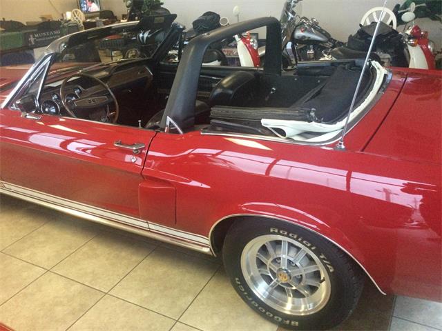 1968 Ford Shelby GT500  (CC-2083261) for sale in Greenville, North Carolina