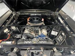 1966 Shelby GT350 (CC-2083268) for sale in Garland, Texas
