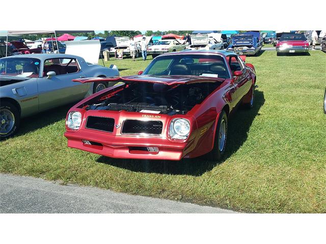 1976 Pontiac Firebird Formula Trans Am (CC-2083299) for sale in Dublin, Ohio
