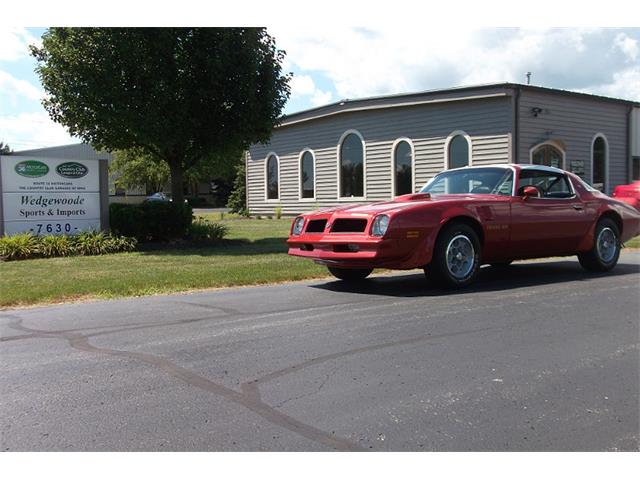 1976 Pontiac Firebird Formula Trans Am (CC-2083299) for sale in Dublin, Ohio