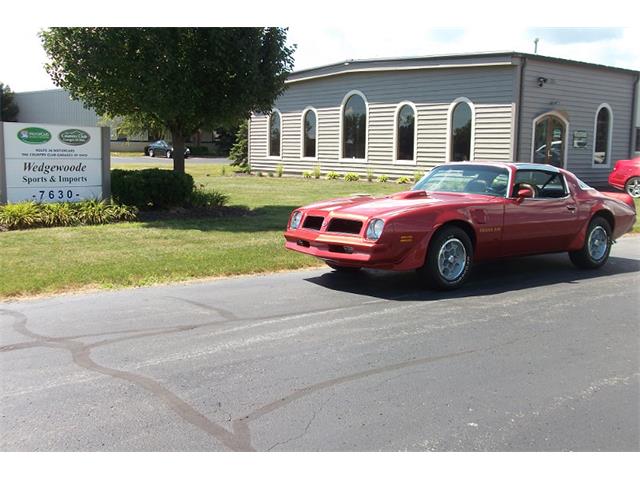 1976 Pontiac Firebird Formula Trans Am (CC-2083299) for sale in Dublin, Ohio