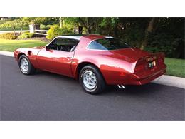 1976 Pontiac Firebird Formula Trans Am (CC-2083299) for sale in Dublin, Ohio