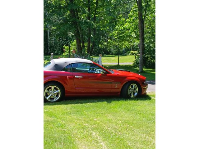 2008 Ford Mustang (CC-2080332) for sale in Mankato, Minnesota