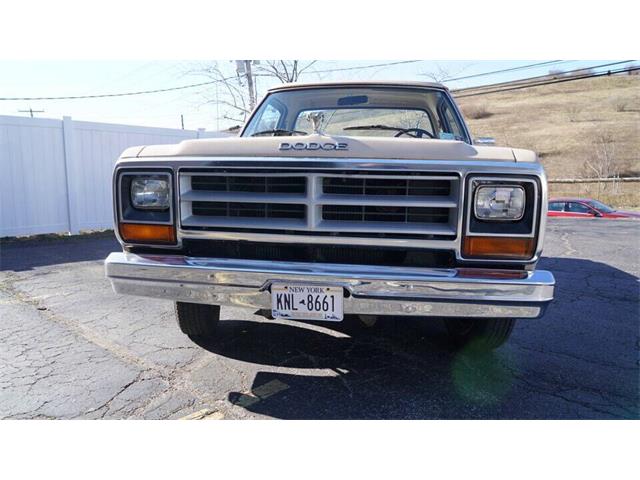 1984 Dodge 100 (CC-2083326) for sale in Old Bethpage , New York