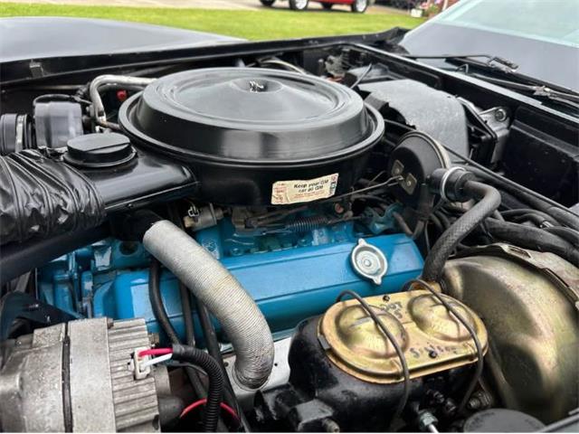 1978 Chevrolet Corvette (CC-2080337) for sale in Cadillac, Michigan