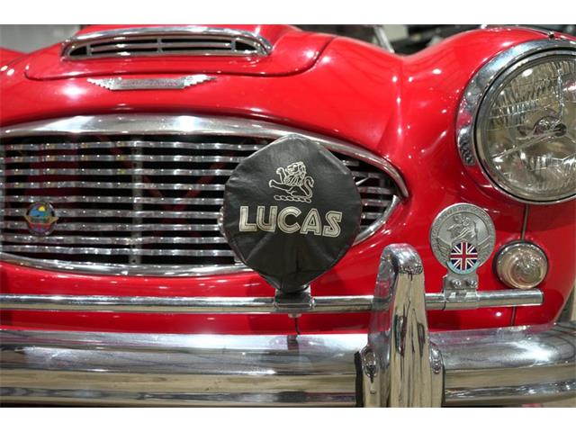 1957 Austin-Healey 100-6 (CC-2083400) for sale in Kentwood, Michigan