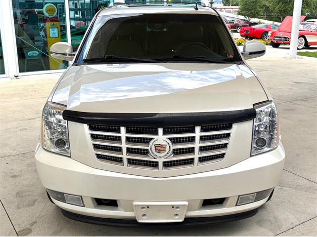 2013 Cadillac Escalade (CC-2083449) for sale in Bradenton, Florida