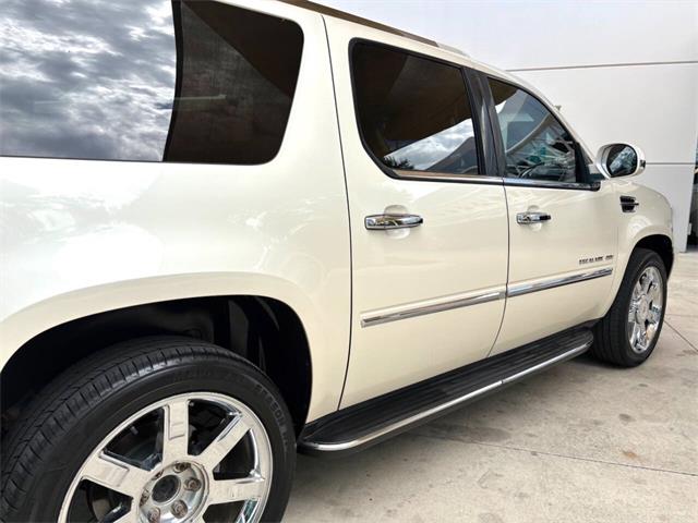 2013 Cadillac Escalade (CC-2083449) for sale in Bradenton, Florida