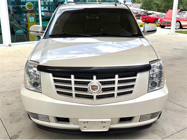 2013 Cadillac Escalade (CC-2083449) for sale in Bradenton, Florida