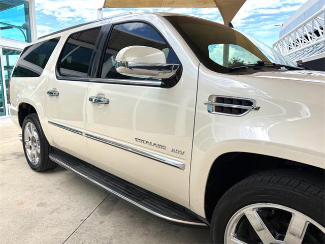 2013 Cadillac Escalade (CC-2083449) for sale in Bradenton, Florida