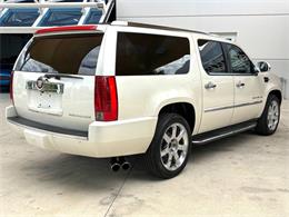 2013 Cadillac Escalade (CC-2083449) for sale in Bradenton, Florida