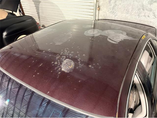 1996 Chevrolet Impala (CC-2083453) for sale in Lutz, Florida