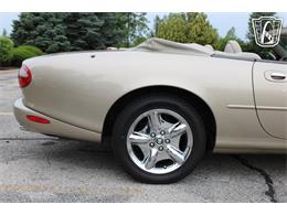 1999 Jaguar XK8 (CC-2083464) for sale in Crete, Illinois