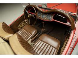 1954 MG TF (CC-2083469) for sale in Greensboro, North Carolina