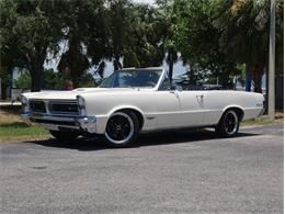 1965 Pontiac LeMans (CC-2083492) for sale in Palmetto, Florida