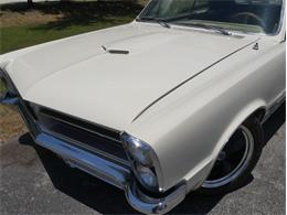 1965 Pontiac LeMans (CC-2083492) for sale in Palmetto, Florida