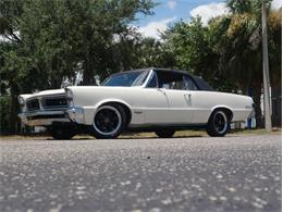 1965 Pontiac LeMans (CC-2083492) for sale in Palmetto, Florida