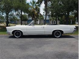 1965 Pontiac LeMans (CC-2083492) for sale in Palmetto, Florida