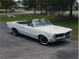 1965 Pontiac LeMans (CC-2083492) for sale in Palmetto, Florida