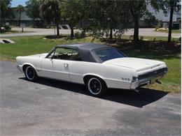 1965 Pontiac LeMans (CC-2083492) for sale in Palmetto, Florida
