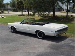 1965 Pontiac LeMans (CC-2083492) for sale in Palmetto, Florida