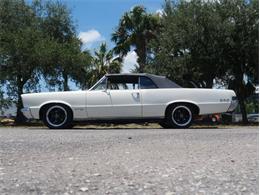 1965 Pontiac LeMans (CC-2083492) for sale in Palmetto, Florida