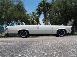 1965 Pontiac LeMans (CC-2083492) for sale in Palmetto, Florida
