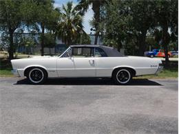 1965 Pontiac LeMans (CC-2083492) for sale in Palmetto, Florida
