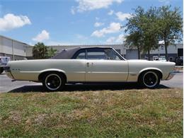 1965 Pontiac LeMans (CC-2083492) for sale in Palmetto, Florida