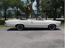 1965 Pontiac LeMans (CC-2083492) for sale in Palmetto, Florida