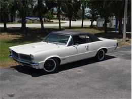 1965 Pontiac LeMans (CC-2083492) for sale in Palmetto, Florida