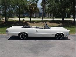 1965 Pontiac LeMans (CC-2083492) for sale in Palmetto, Florida