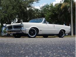 1965 Pontiac LeMans (CC-2083492) for sale in Palmetto, Florida
