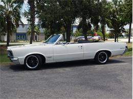 1965 Pontiac LeMans (CC-2083492) for sale in Palmetto, Florida