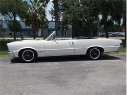 1965 Pontiac LeMans (CC-2083492) for sale in Palmetto, Florida