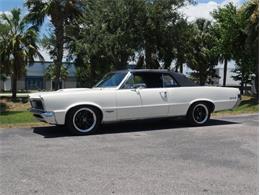 1965 Pontiac LeMans (CC-2083492) for sale in Palmetto, Florida