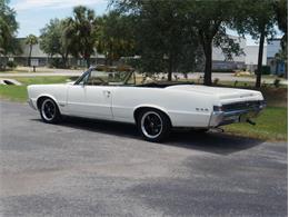 1965 Pontiac LeMans (CC-2083492) for sale in Palmetto, Florida