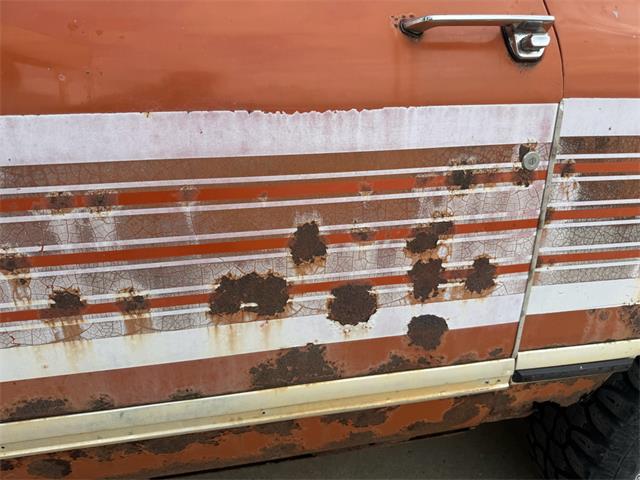 1979 International Scout (CC-2083515) for sale in Brookings, South Dakota