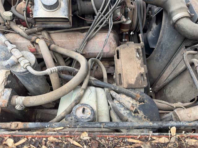 1979 International Scout (CC-2083515) for sale in Brookings, South Dakota