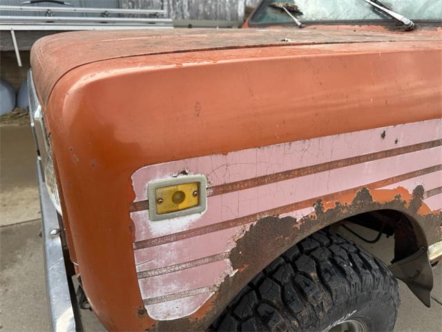 1979 International Scout (CC-2083515) for sale in Brookings, South Dakota