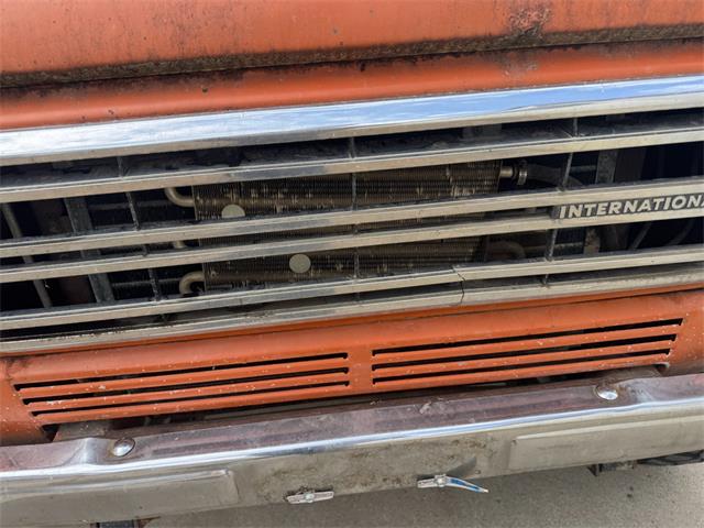 1979 International Scout (CC-2083515) for sale in Brookings, South Dakota