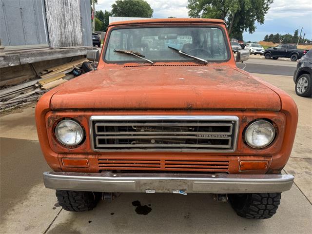 1979 International Scout (CC-2083515) for sale in Brookings, South Dakota
