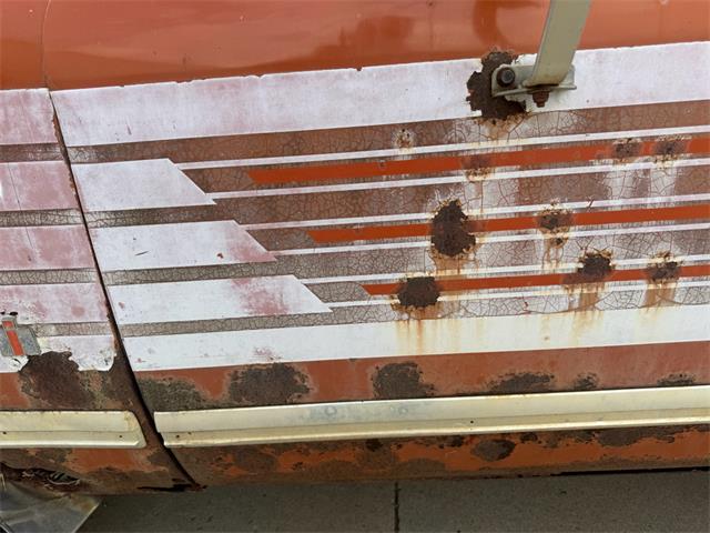 1979 International Scout (CC-2083515) for sale in Brookings, South Dakota