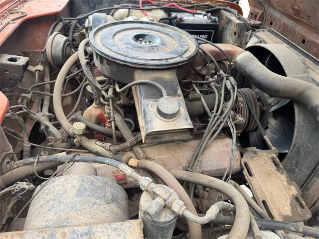 1979 International Scout (CC-2083515) for sale in Brookings, South Dakota