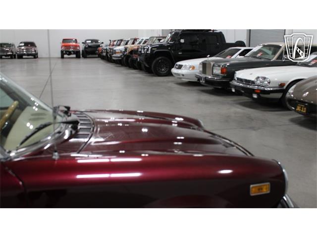 1982 Fiat 2000 (CC-2083522) for sale in Las Vegas, Nevada