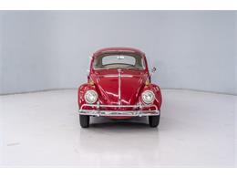 1965 Volkswagen Beetle (CC-2083552) for sale in Concord, North Carolina