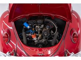 1965 Volkswagen Beetle (CC-2083552) for sale in Concord, North Carolina
