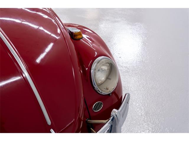 1965 Volkswagen Beetle (CC-2083552) for sale in Concord, North Carolina